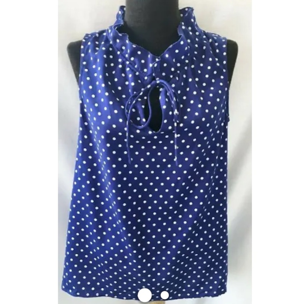 J Crew Ruffle Tie Neck Polka Dot Blouse